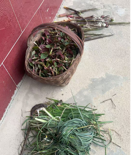 微信图片_20250423163317