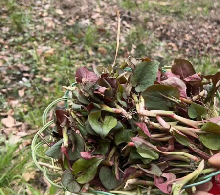 微信图片_20250423163323